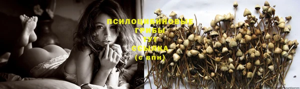 прущие крисы Вязники