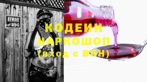 твердый Вяземский