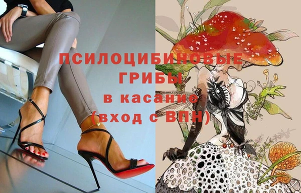 соль курить ск Вязьма