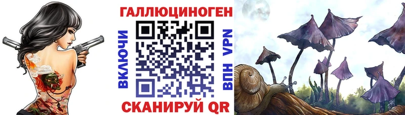 Галлюциногенные грибы Psilocybe закладка блэк спрут как зайти Назарово