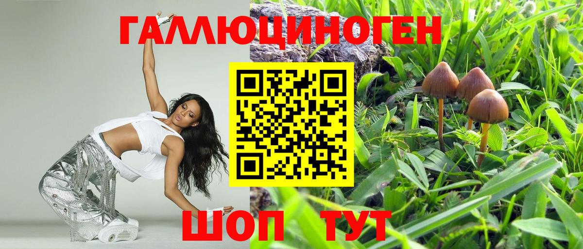 Галлюциногенные грибы GOLDEN TEACHER  Вход с VPN  Псилоцибиновые грибы Magic Shrooms  где найти   Назарово 